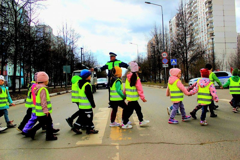 Сотрудники подмосковной Госавтоинспекции проводят обучающие пешеходные экскурсии для дошкольников